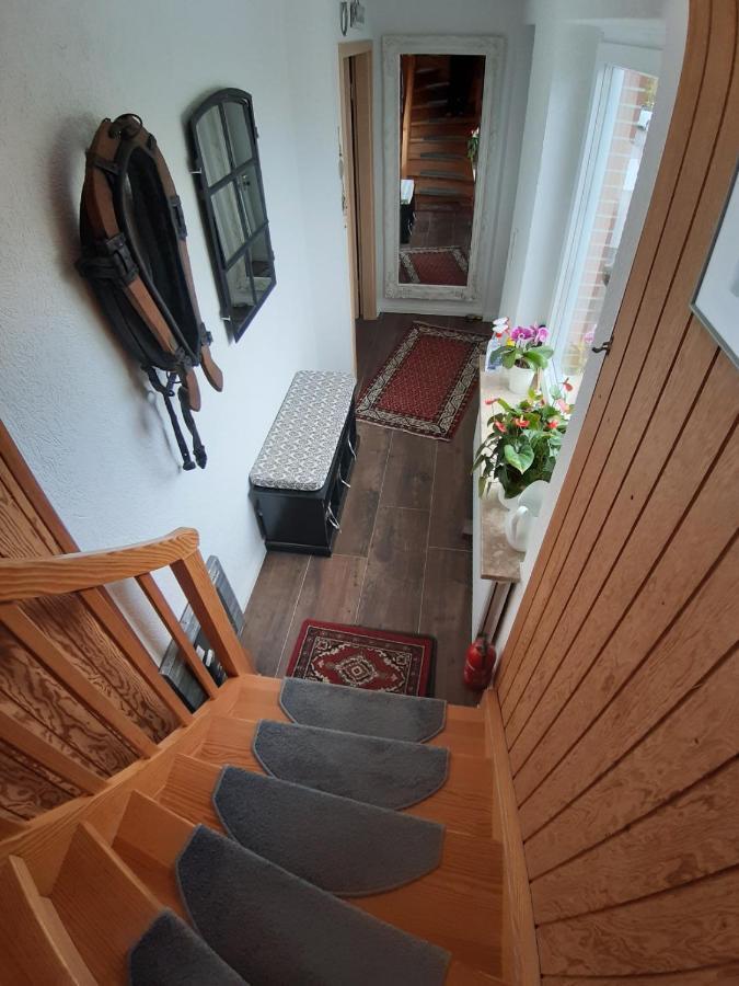 Ferienwohnung Schwalbennest Hanerau-Hademarschen ภายนอก รูปภาพ